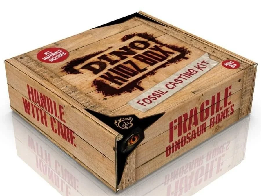（未開封）　ゴッドボックス　デュエリストボックス　6BOXセット DINO KIDZ BOX! — Elevation Science Institute
